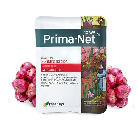 Prima Net: What Is Net Monthly Income? image 1