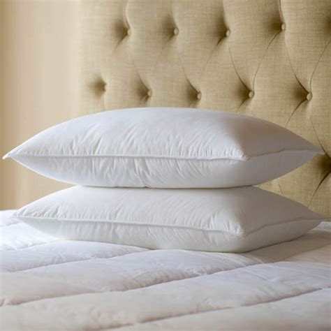 Primaloft Pillow Wayfair