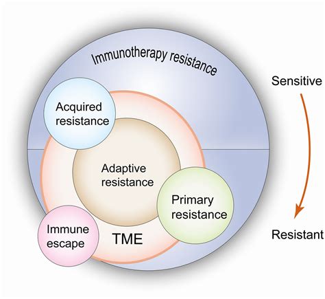 Primary, Adaptive, and Acquired Resistance to Cancer …