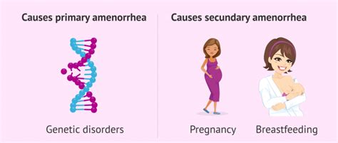 Primary and secondary causes of amenorrhea