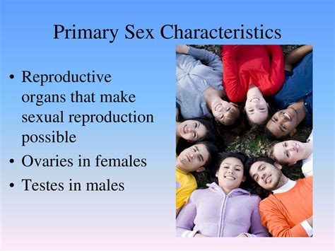 Primary sex characteristics definition.  The primary difference between primary...
