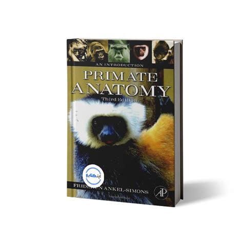Primate Anatomy Third Edition