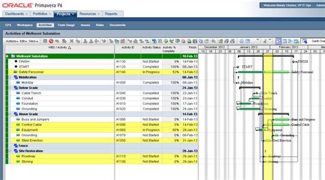 Primavera P6 Professional and EPPM Progress Spotlight