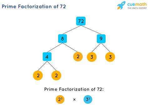 Prime Numbers Factorization & Factor Tree Curvebreakers