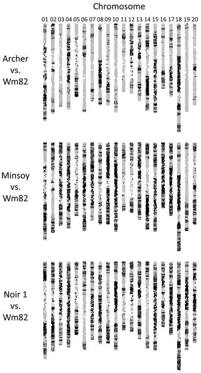 Primers Stupar Lab - University of Minnesota