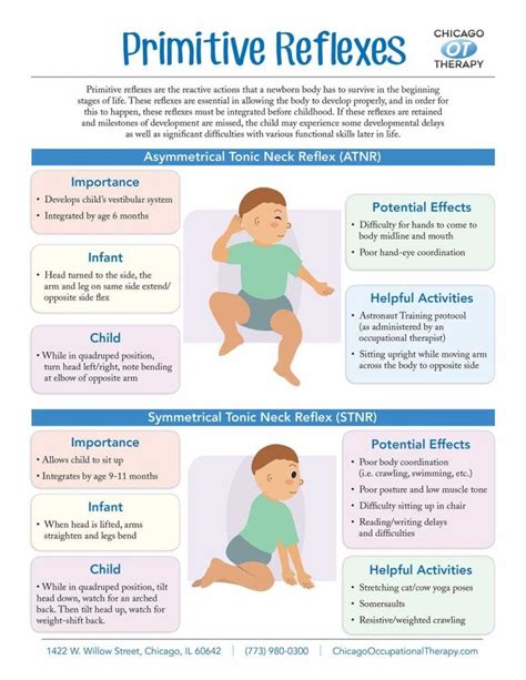 Primitive Reflexes: What They Are, What They Mean, and More - Healthli…