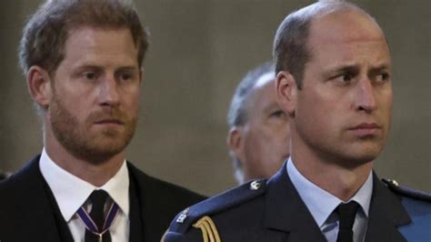 Prince Harry ‘heartbreaking’ reaction to William message laid bare …