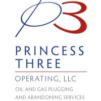 Princess Three Operating Company Profile Management and …