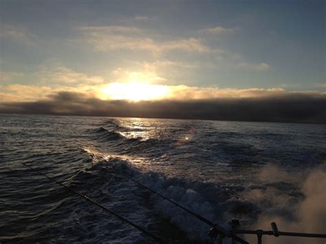 Princesspiss Leaks 😈 [SEX VIDEO]