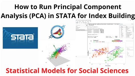 Principal component analysis index construction stata.  Weighting the items in a wealth ind...