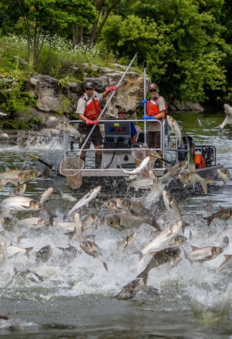 Principles of Electrofishing U.S. Fish & Wildlife Service