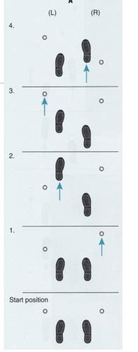 Principles of Gait Training Flashcards Quizlet