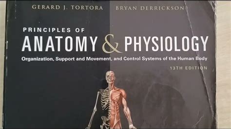 Principles of anatomy and physiology 13th edition study guide. - Colt mk iv series 80 90 pistol owners instruction manual.