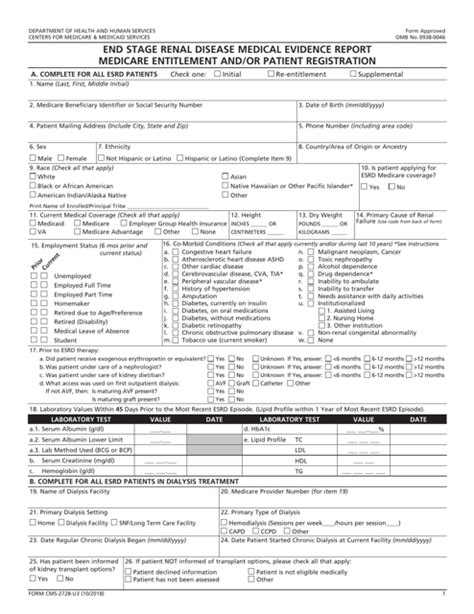 Print a CMS2728 Form