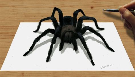 Printable 3D Spider Drawing