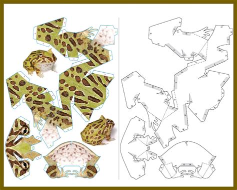 Printable 3d Frog Template