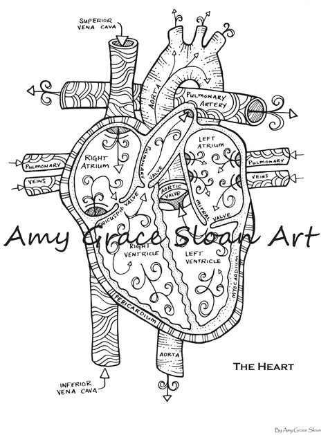 Printable Anatomy Coloring Pages