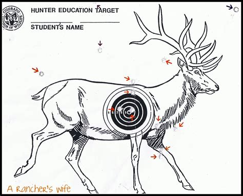 Printable Animal Targets