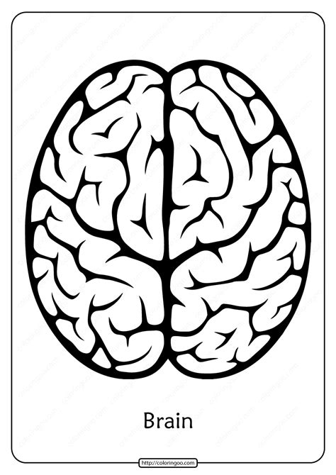 Printable Blank Brain Diagram Printable Coloring Pages
