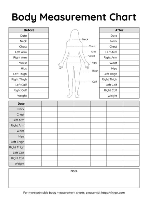 Printable Body Measurement Chart Female Customize and Print