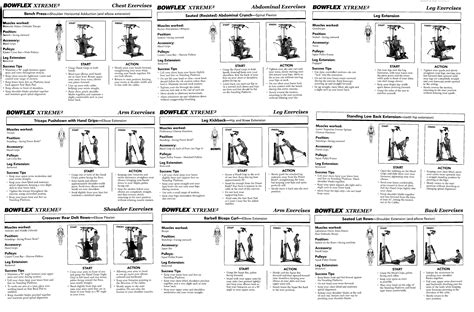 Printable Bowflex Exercises Pdf