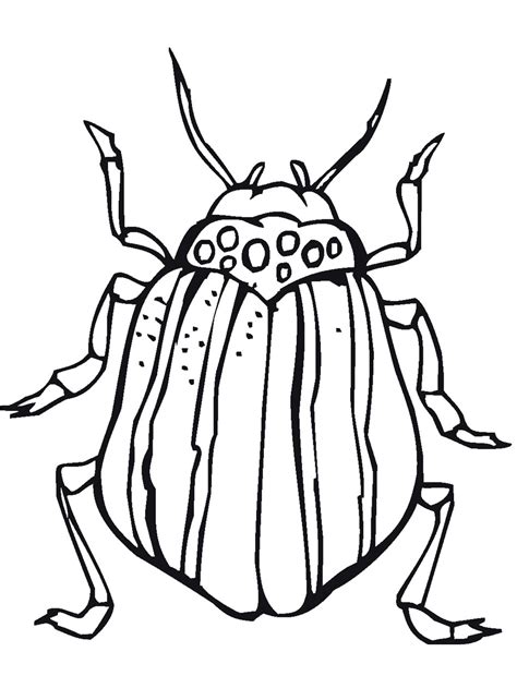 Printable Bug Coloring Pages