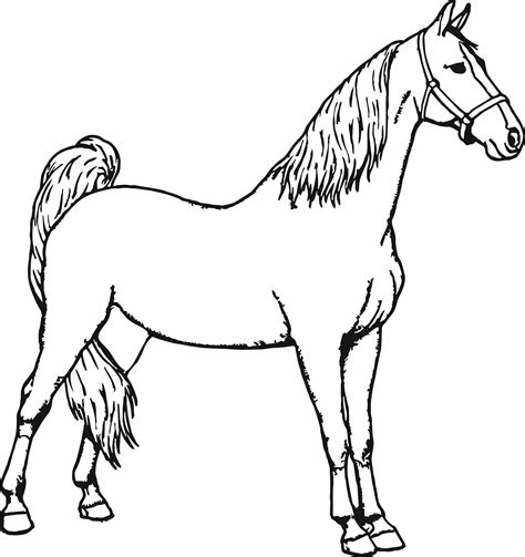 Printable Coloring Horse