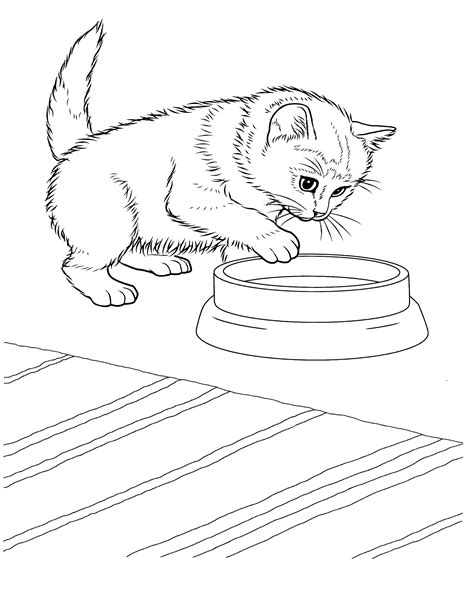 Printable Coloring Pages Kittens