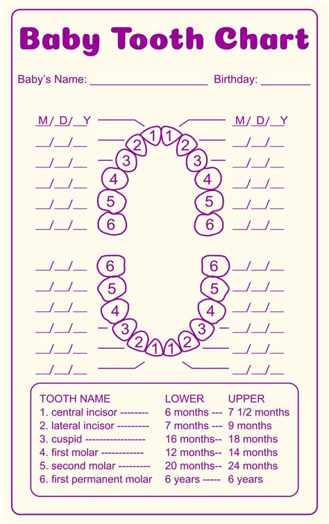 Printable Dental Charting