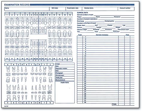 Printable Dental Charting Forms Master of Documents