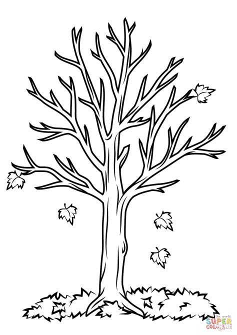 Printable Fall Tree Coloring Pages