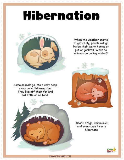 Printable Hibernation Preschool Activities