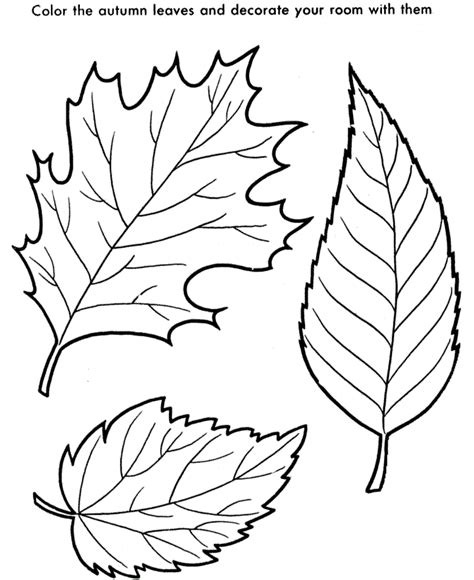 Printable Leaves Coloring Pages