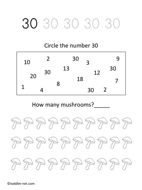 Printable Number 30 Worksheets