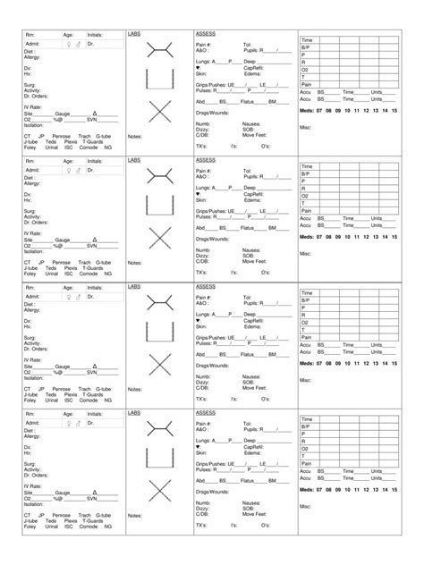 Printable Nursing Brain Sheets