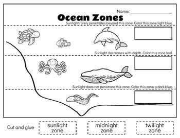 Printable Ocean Zones Worksheet Pdf