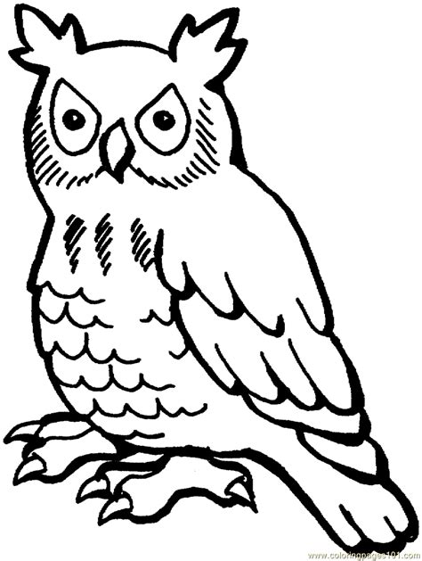 Printable Owl Images