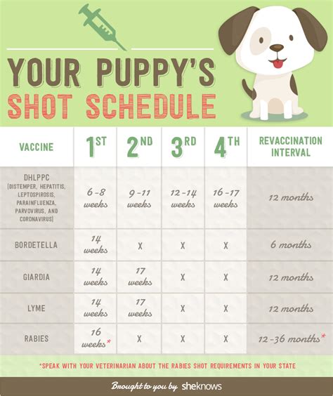 Printable Puppy Shot Schedule