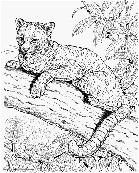 Printable Realistic Animal Coloring Pages
