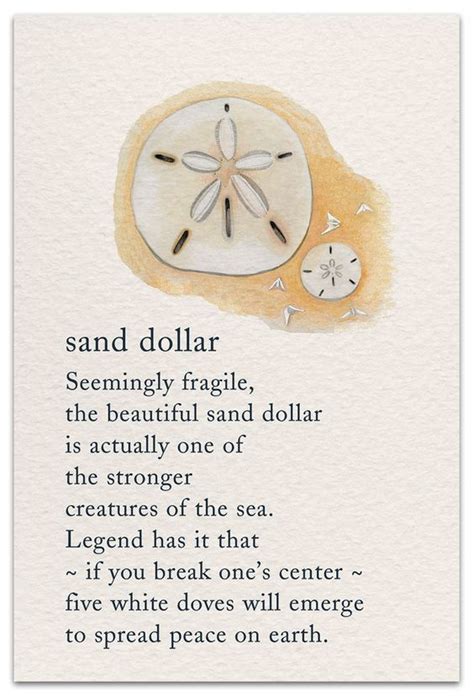 Printable Sand Dollar Meaning