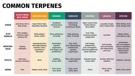 Printable Terpene Chart
