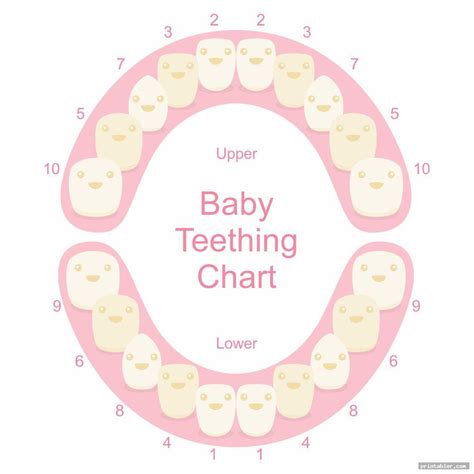 Printable Tooth Color Chart