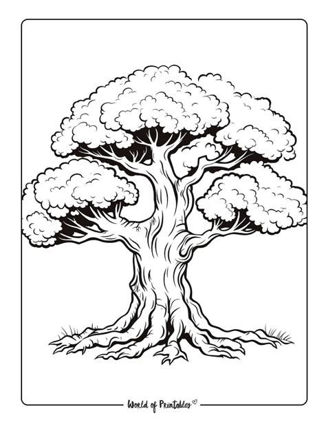 Printable Tree Coloring Page Book PDF