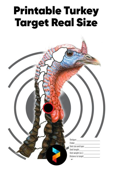 Printable Turkey Target Customize and Print
