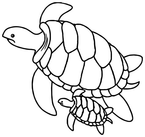 Printable Turtle Coloring Pages