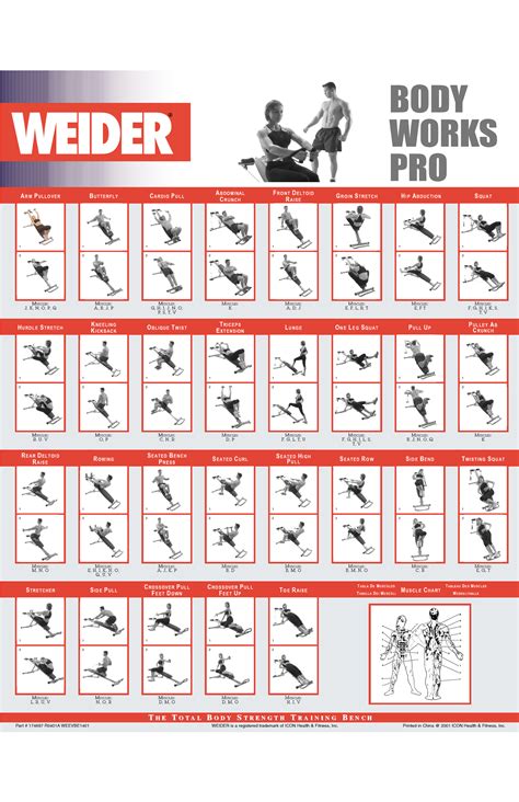 Printable Weider Exercise Chart Pdf