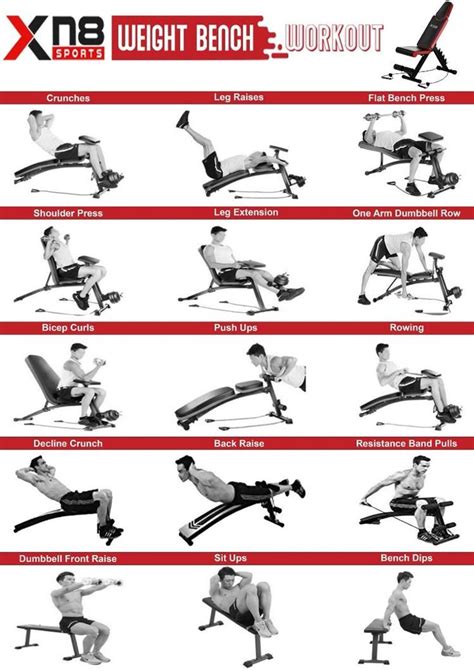 Printable Weight Bench Exercise Chart Francesco Printable