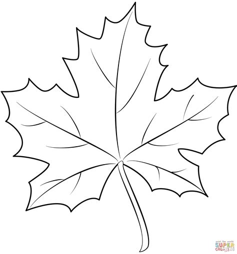 Printable maple leaf pattern Coloring Page