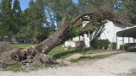 Prisoner's home crushed by city-owned tree, Washington Park ponders action