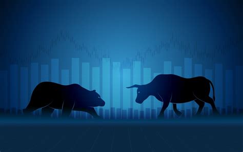 Privacy Policy - Bull or Bear Futures